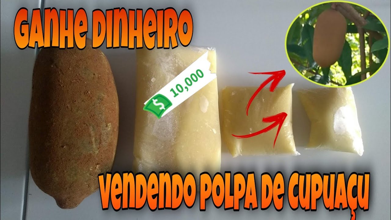 Ganhe dinheiro vendendo polpa de cupuaçu - Dinheiro no Sitio