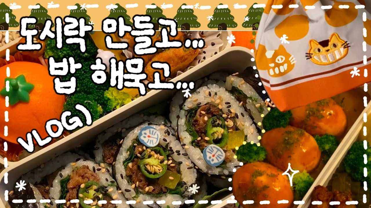[VLOG] 우삼겹 청양 김밥 도시락🥬/ 김장김치,,and 수육,, 🌹/ 구운달걀 카레 도시락🥚/ 일본식 고등어 된장조림과 연두부 계란국🐟 ✨