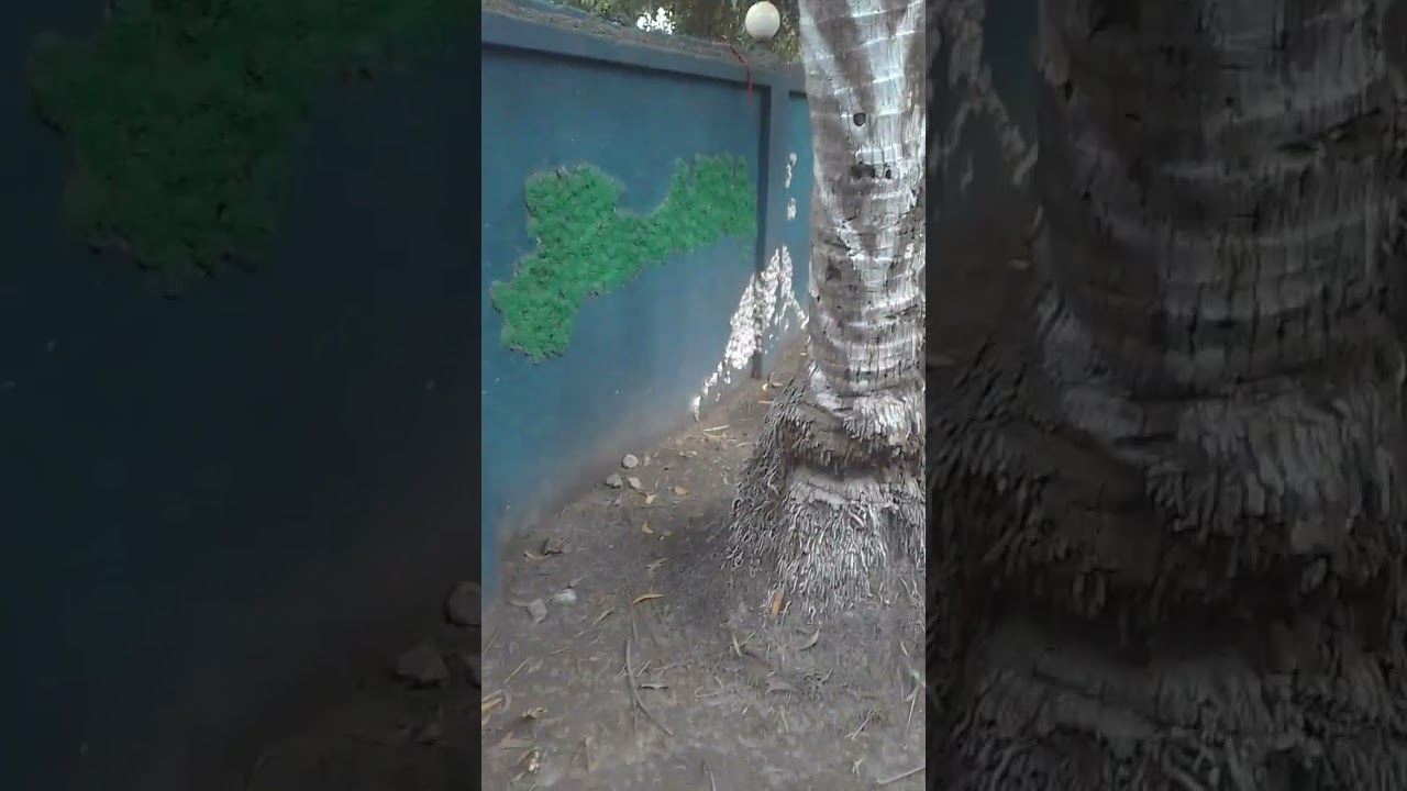কতবার ভেবেছিনু...একদা গৃহকোণে