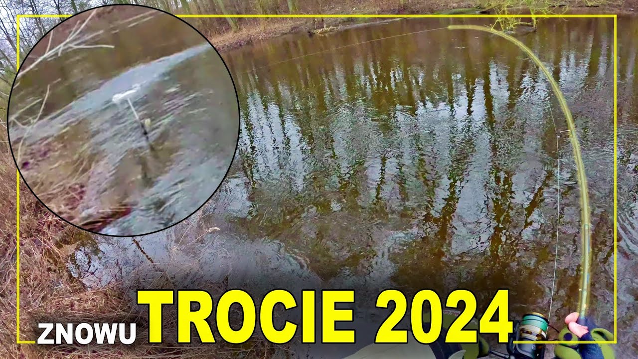 KOMPLET TROCI w 2 GODZINY ?!! LUTY 2024 | wędkarstwo spinning