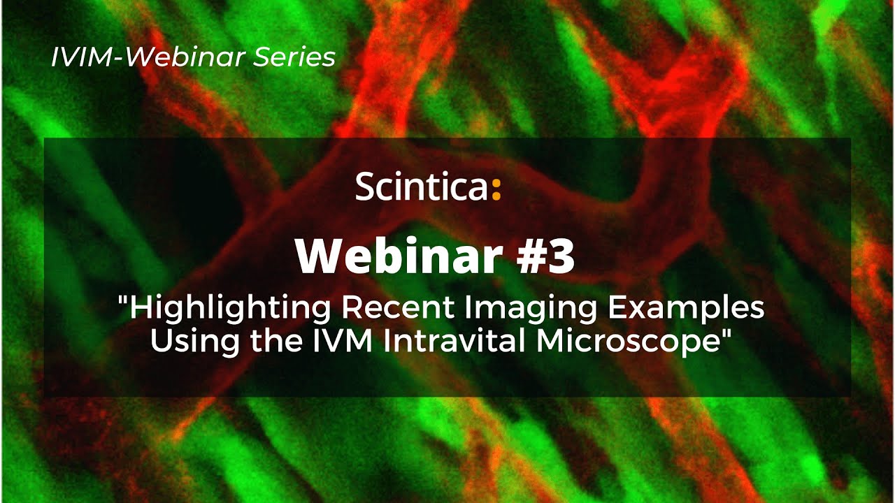 IVIM Webinar 3- Highlighting Imaging Examples Using the IVM Intravital Microscope