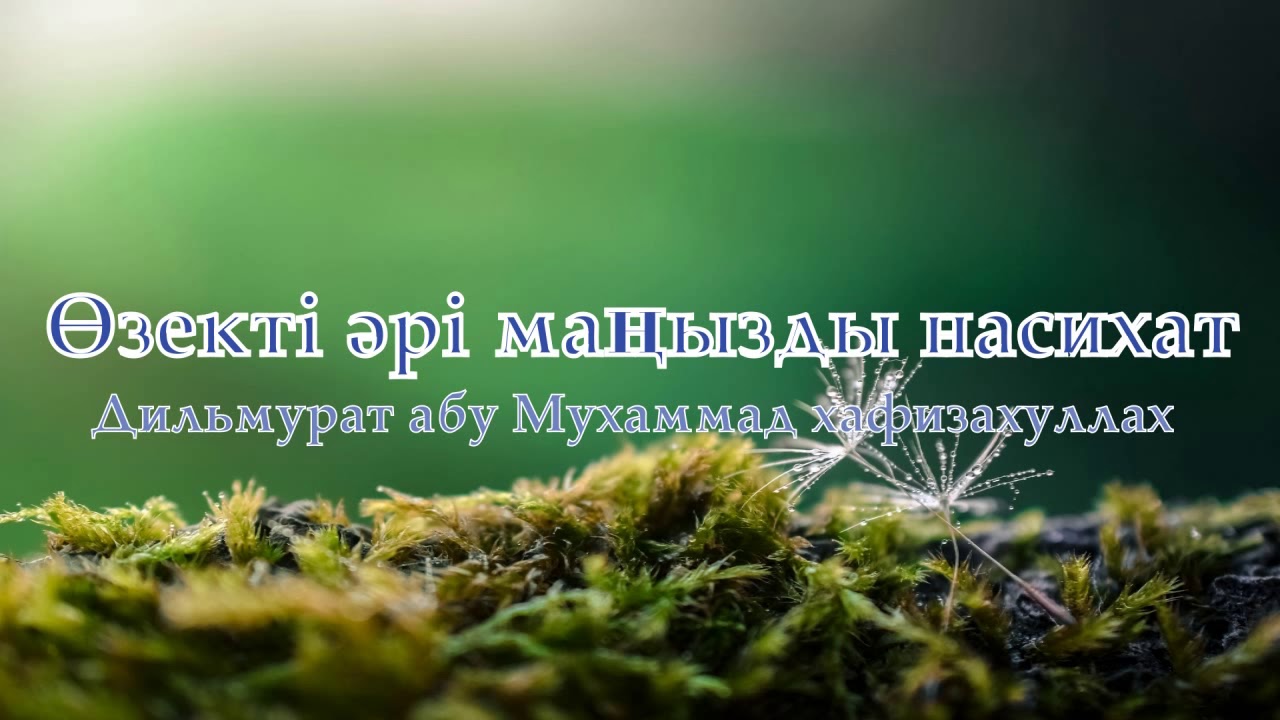 Өзекті әрі маңызды насихат |  Ділмурат Абу Мухаммад