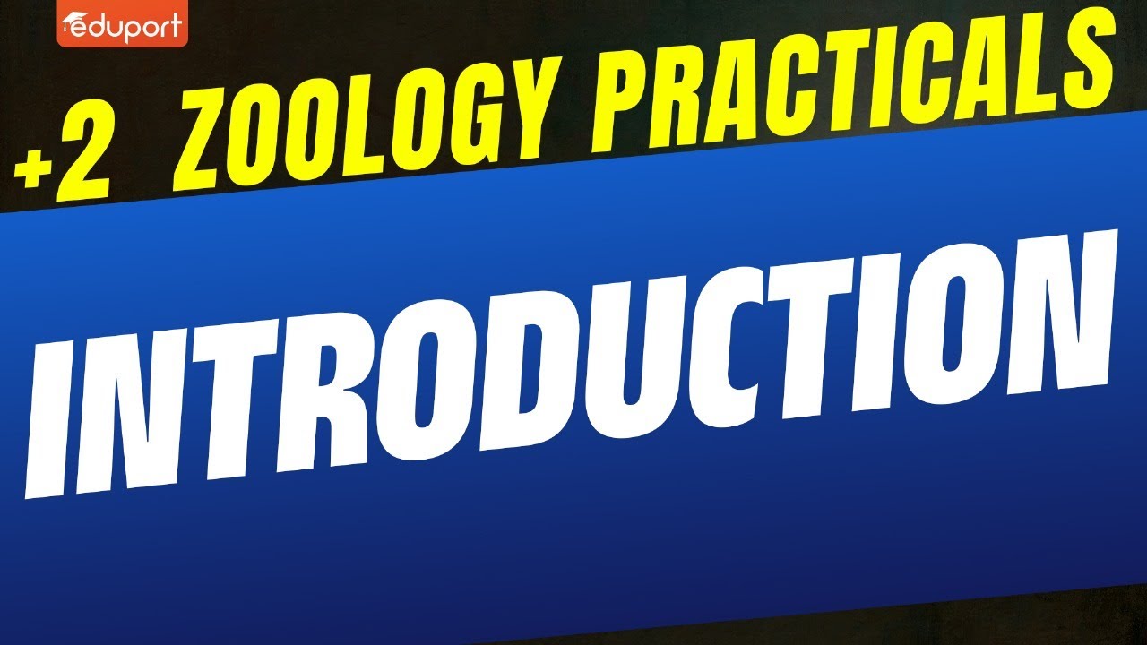 Plus Two Zoology Practicals | Introduction | Eduport Plus Two