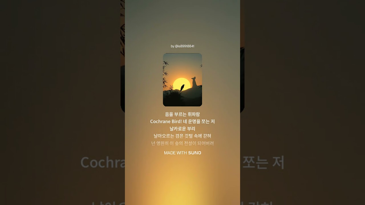 COCHRANE BIRD 곡레인의 새