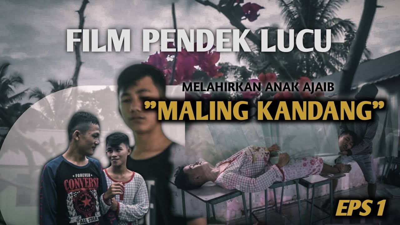 VIDEO LUCU 
