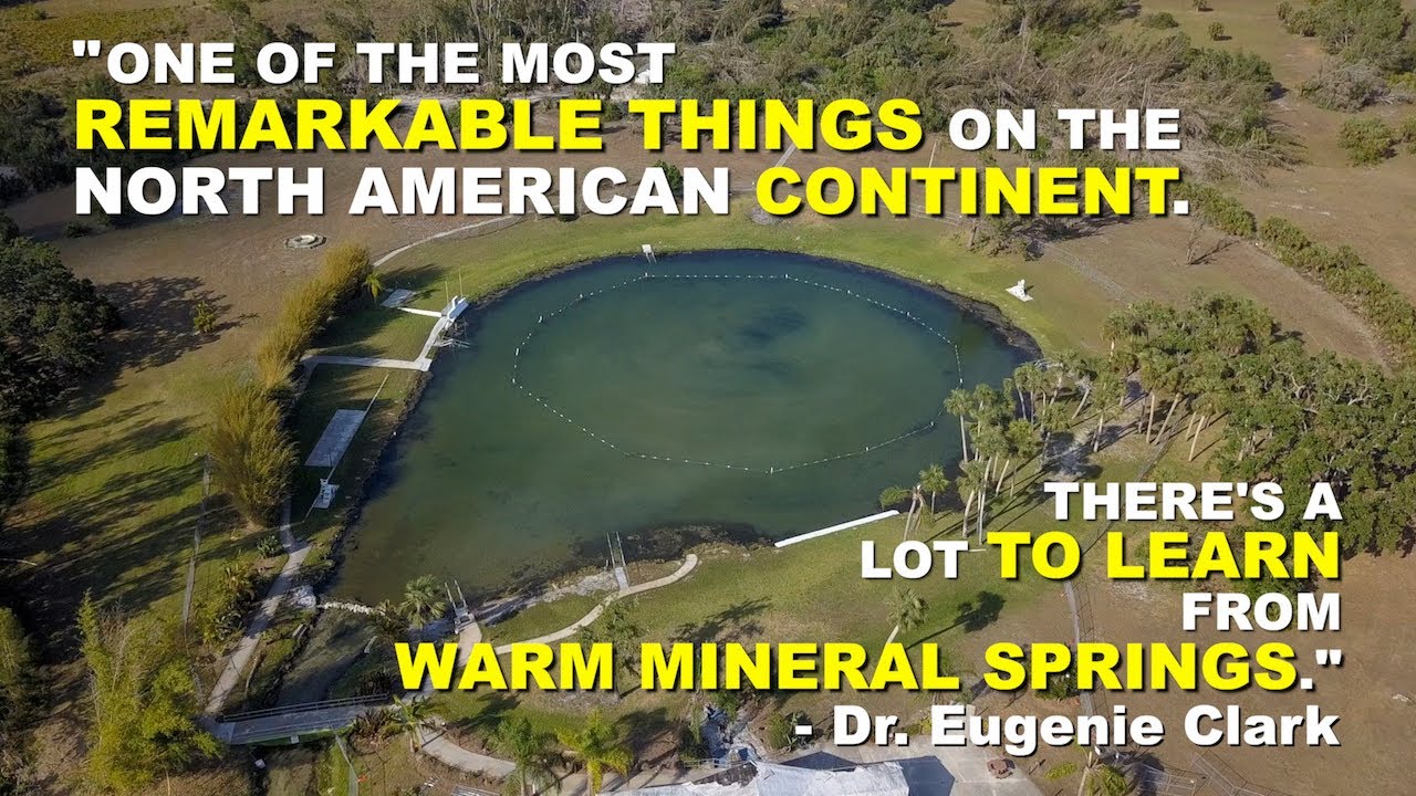 Dr. Eugenie Clark Explains Real Value of Warm Mineral Springs, Little Salt Spring in North Port, FL