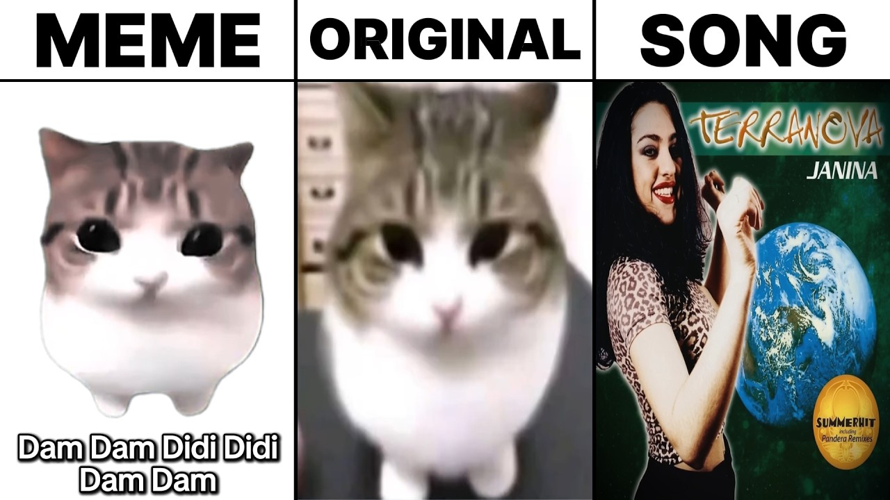 Dam Dam Didi Didi Cat Meme vs Original Cat vs Song
