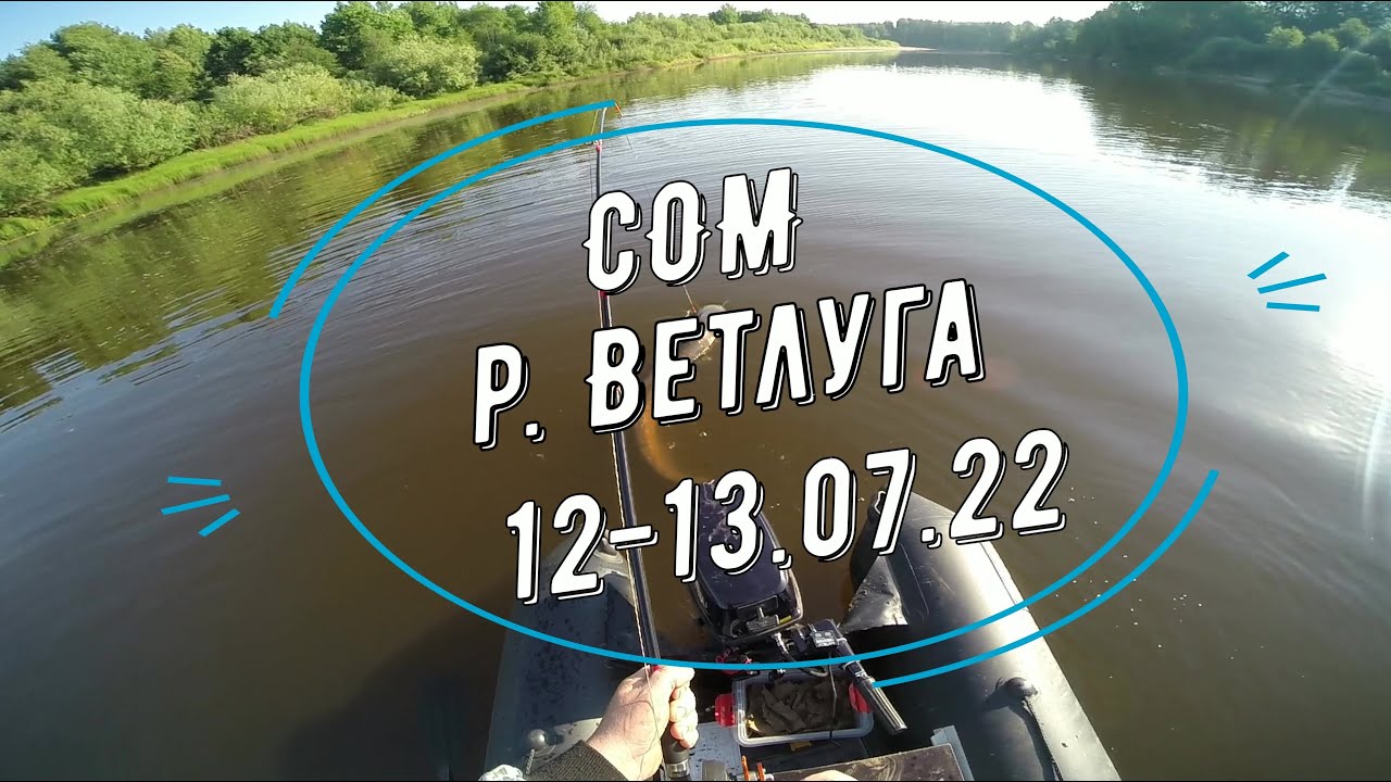 Сом, река Ветлуга 12-13.07.2022г. вес 27 кг.
