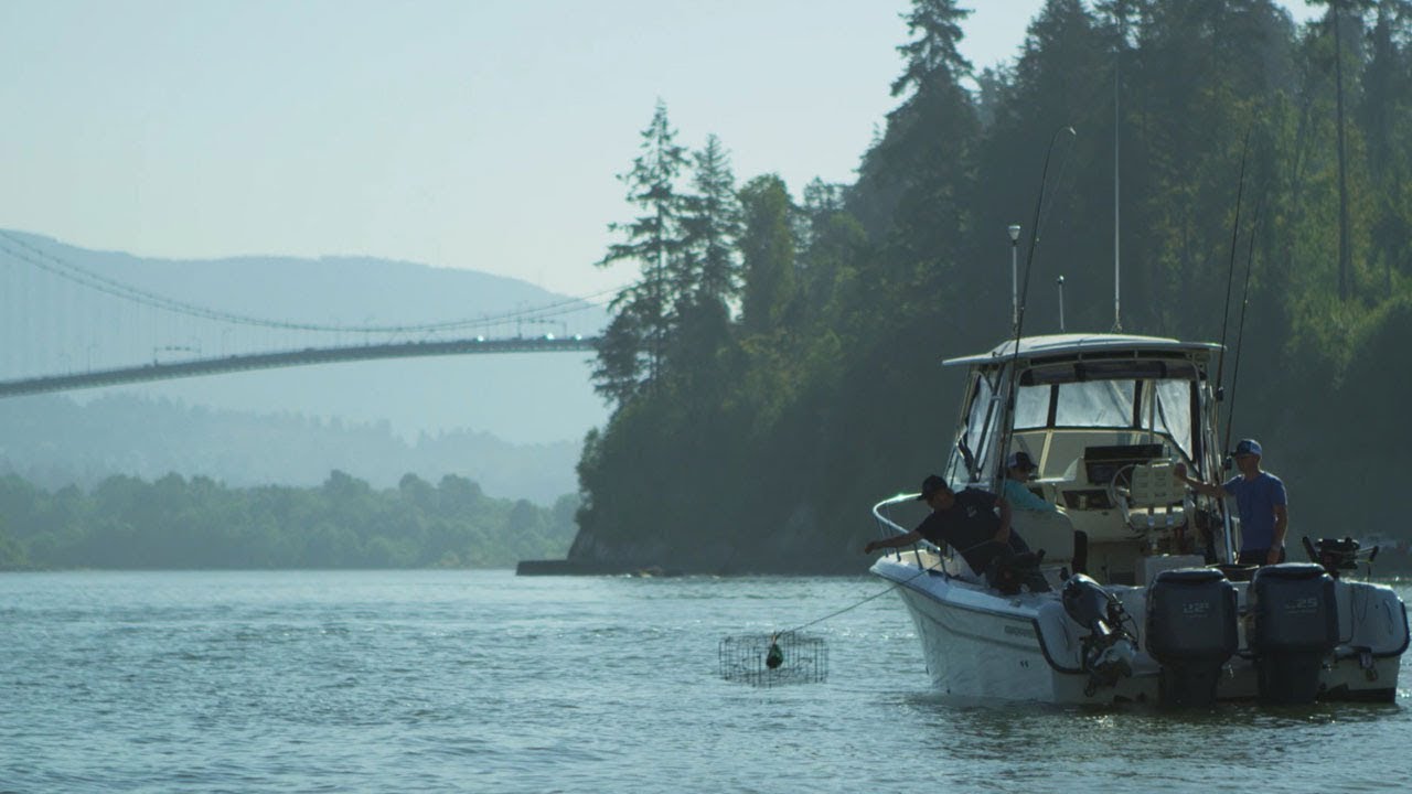 Организация Fishing BC представляет: Рыболовные туры в Ванкувере от Pacific Angler.