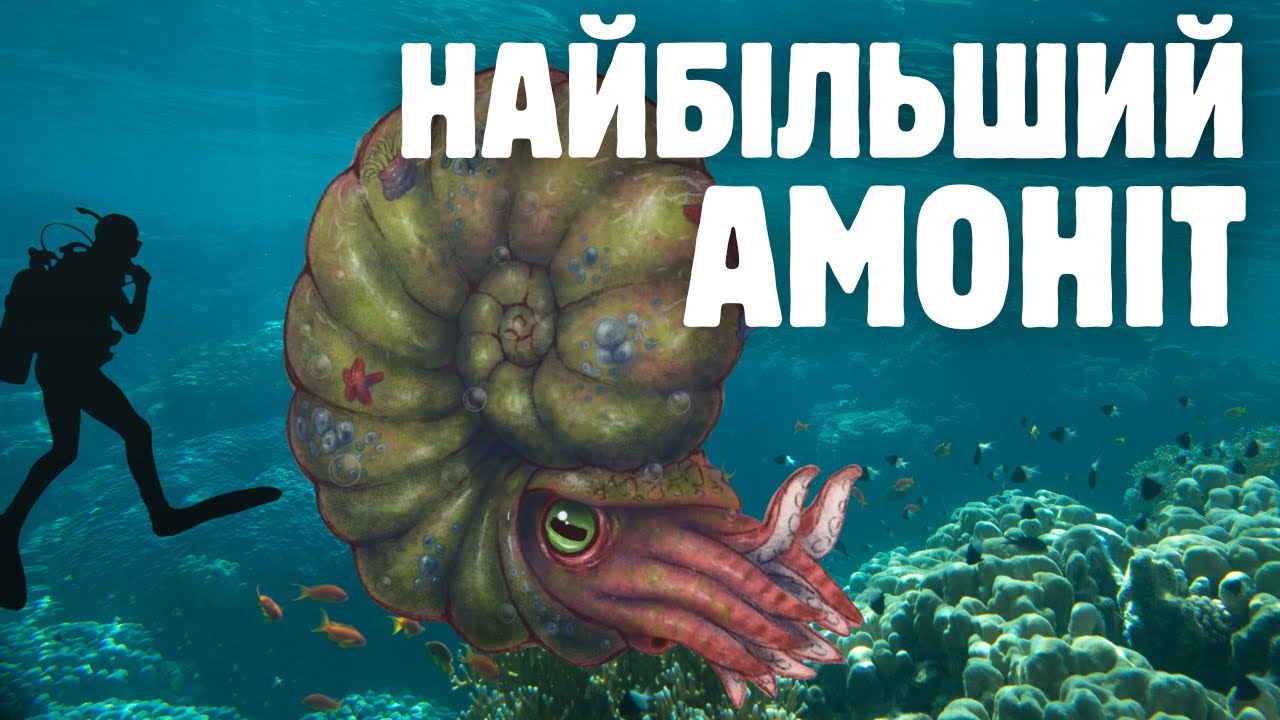 Молюск з діаметром понад 2 м. Parapuzosia - гігант морів мезозою.