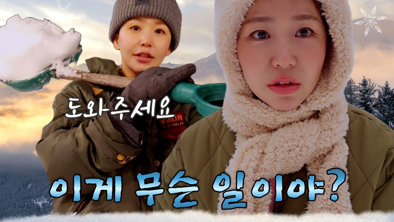 (cc)북한에서 자주 봤는데... 탈북하고 처음 봤어요!!