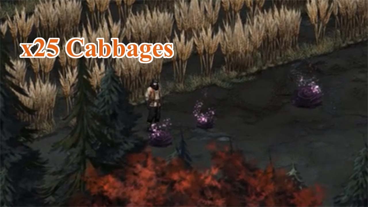 Fuk's Wild Cabbage Hunt - Vampire's Fall 2
