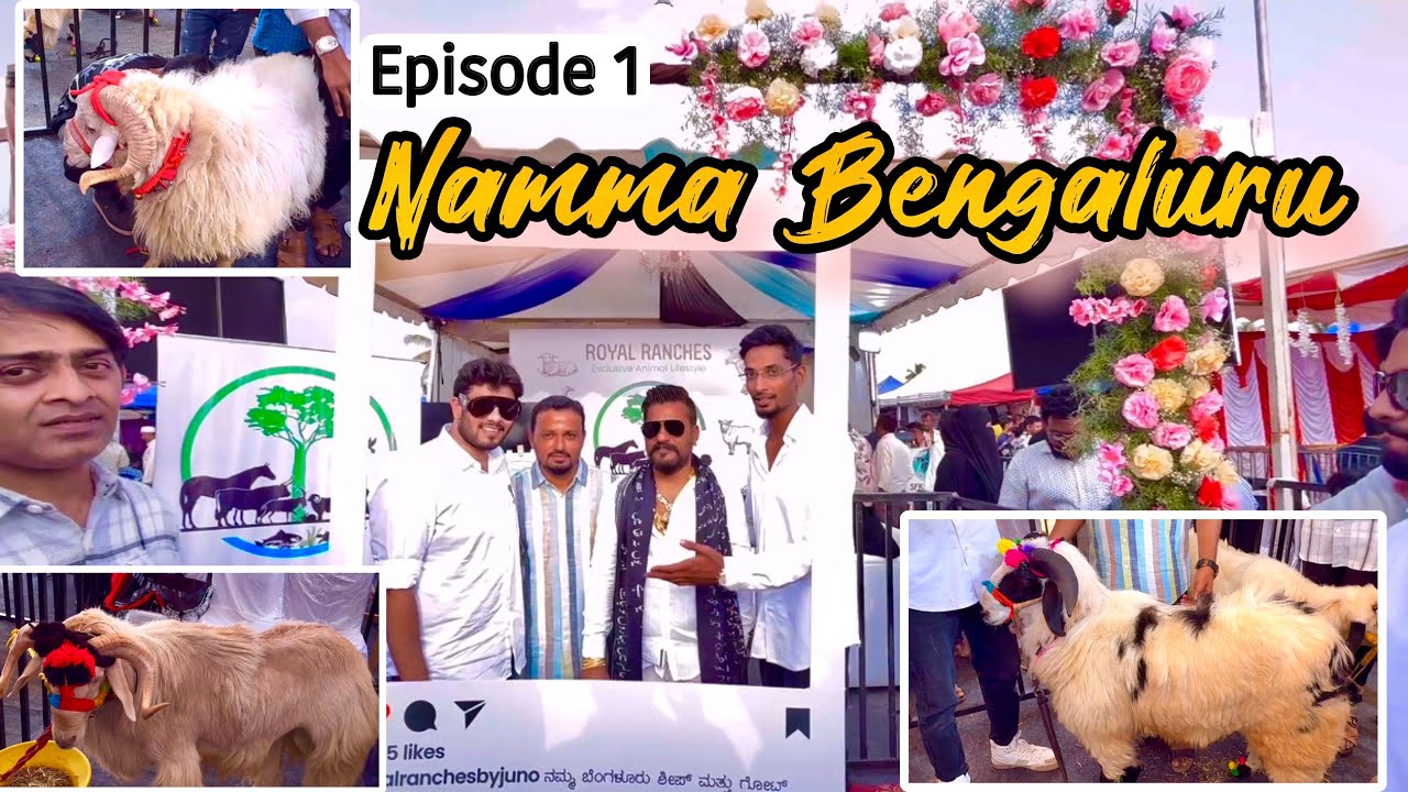 Bangalore Sheep & Goat Expo with MD Goat Farm Ep 1 | Namma Bengaluru Feat Royal Ranches & More