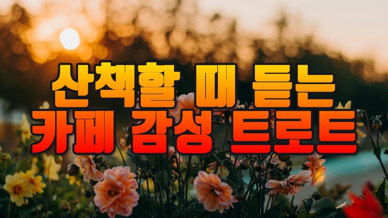 💔찻집에서 흘러나오는 감성 트로트 옛 추억으로 빠져드는 시간 / 잔잔한 트로트
