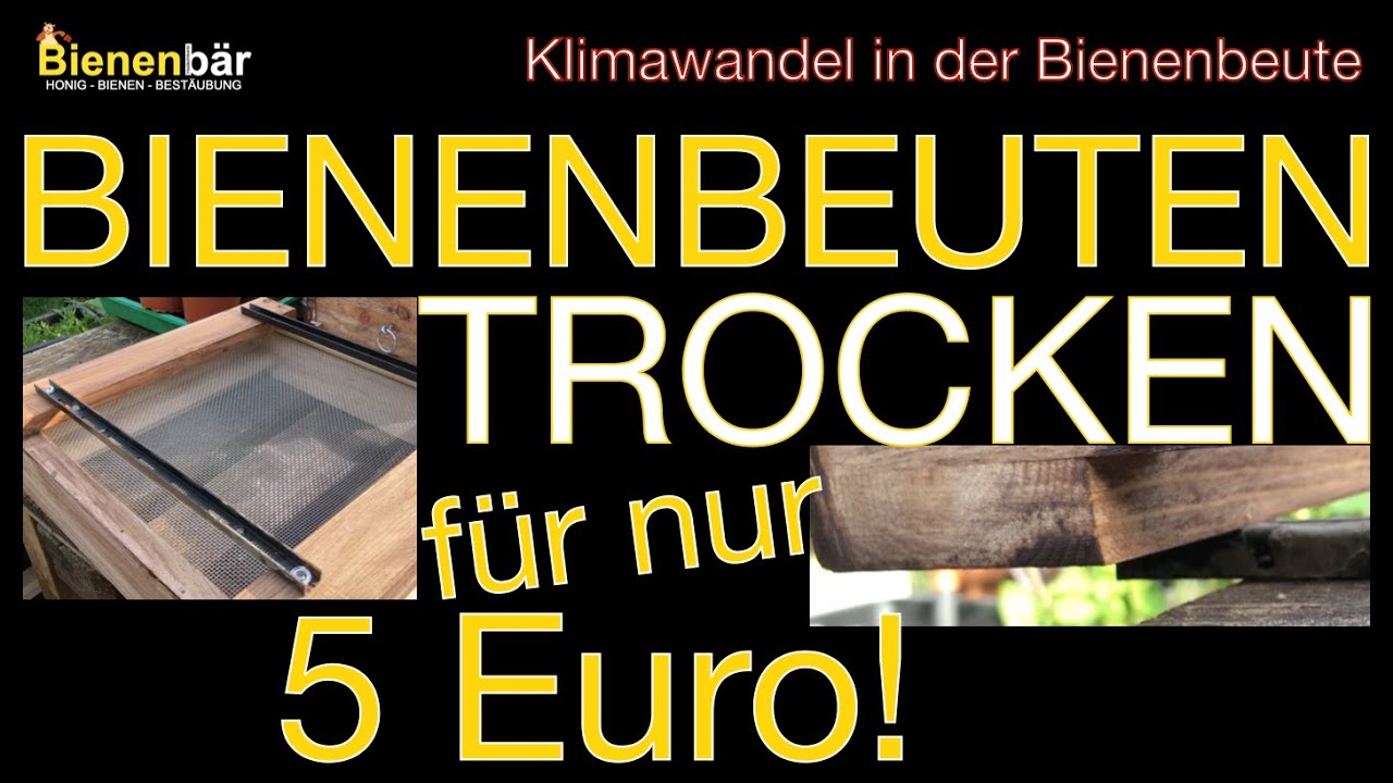 Bienenbeuten trocken für 5 € - Klimawandel in der Bienenbeute #bees #imkerei #honey