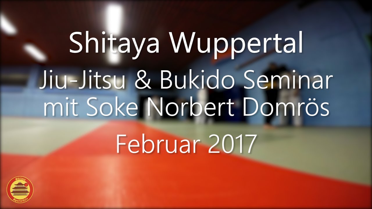 Jiu-Jitsu Domrös-Style Seminar Februar 2017 in Wuppertal