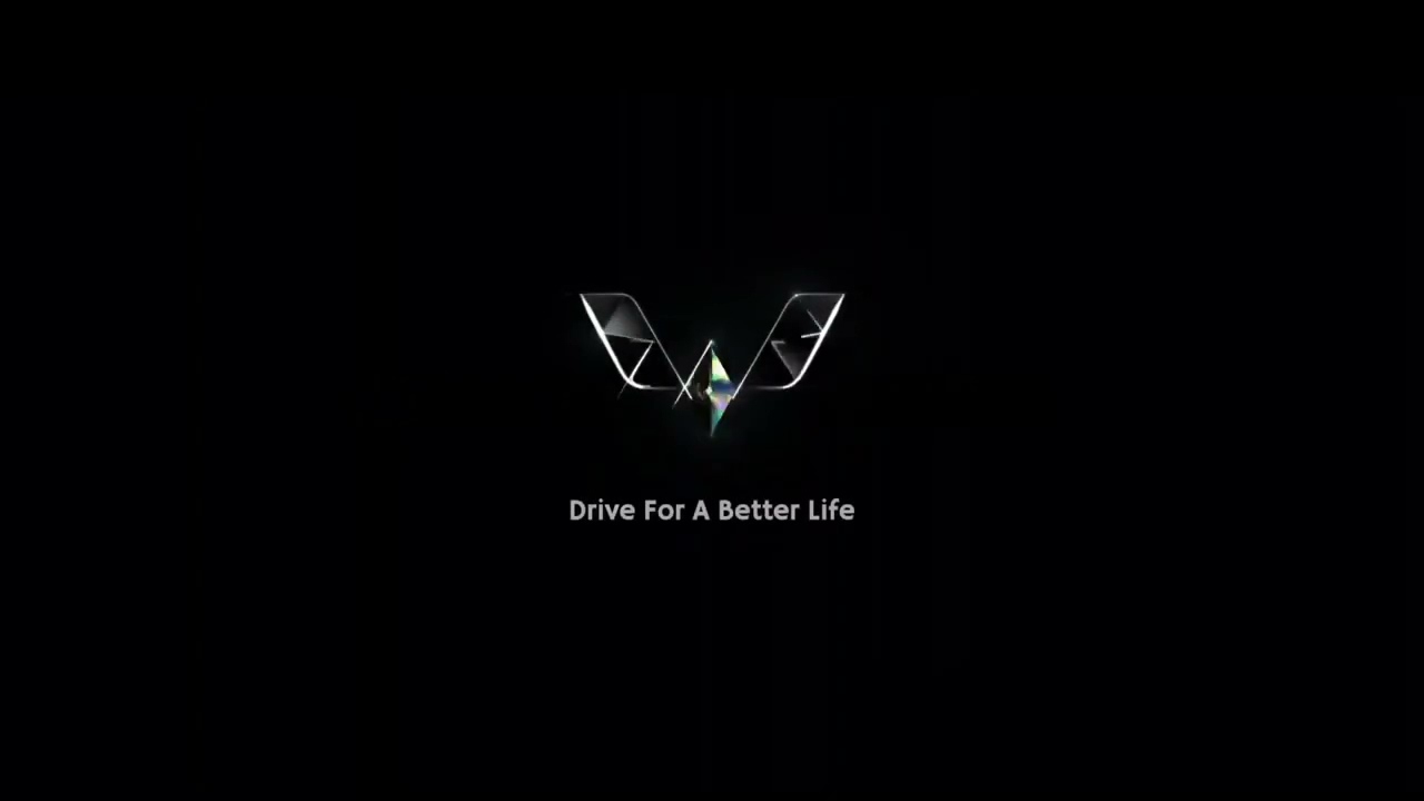 Wuling indonesian command
