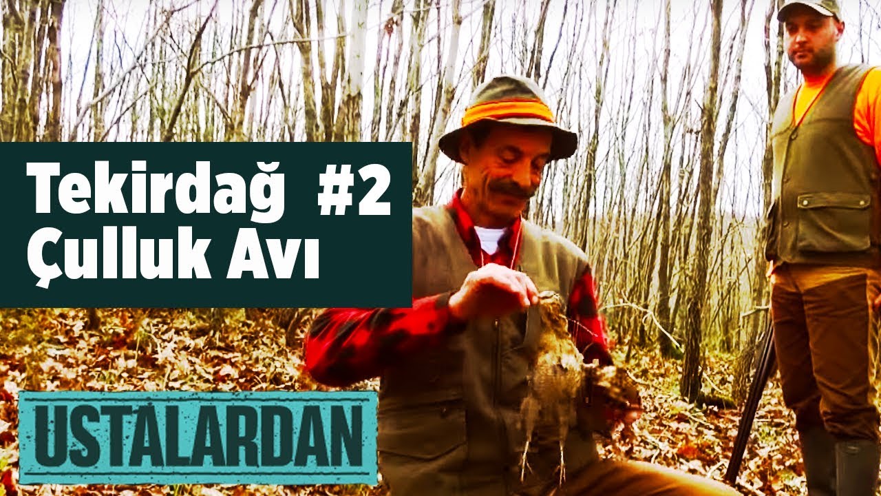 Tekirdağ  &Ccedil;ulluk Avı - 2 - Ustalardan - Yaban Tv  Woodcock Hunting Turkey