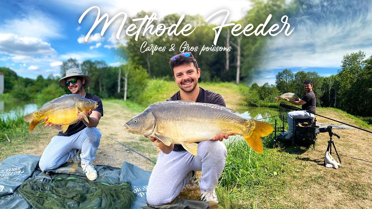 Peche de la carpe au METHOD FEEDER ! - Carpes et GROS POISSONS