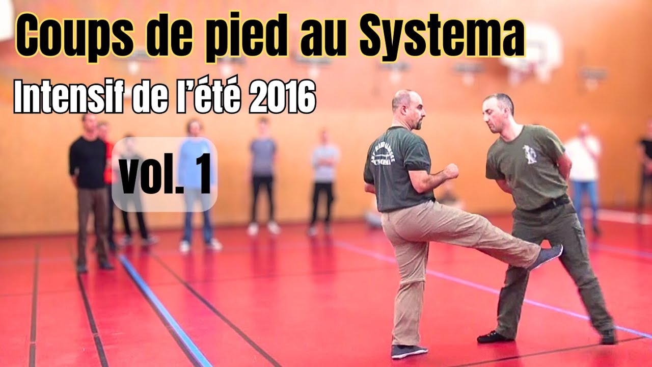 Systema – Les coups de pied : principes fondamentaux (Intensif été 2016) – Vol. 1