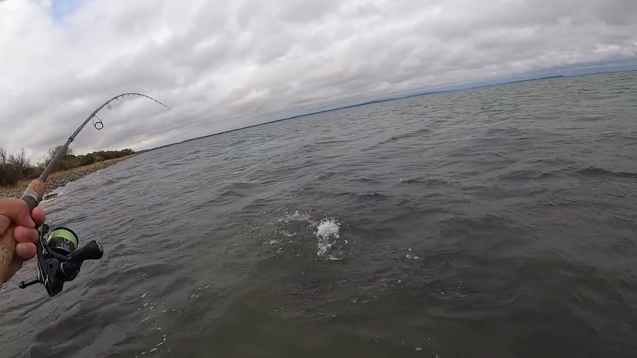 Test fiskeri med hjemmelavet Blink