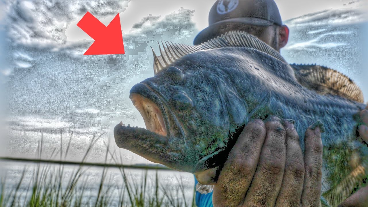 Last Trip NJ Summer Flounder Fishing!// September 2025 NJ Fishing