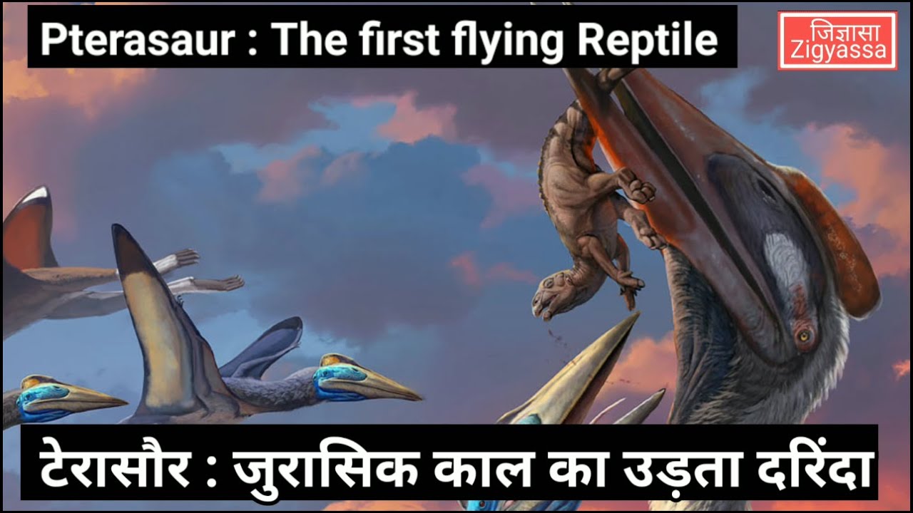 टेरासौर जुरासिक काल का सबसे बड़ा दरिंदा | Pterasaur the first flying reptile of Jurassic Era
