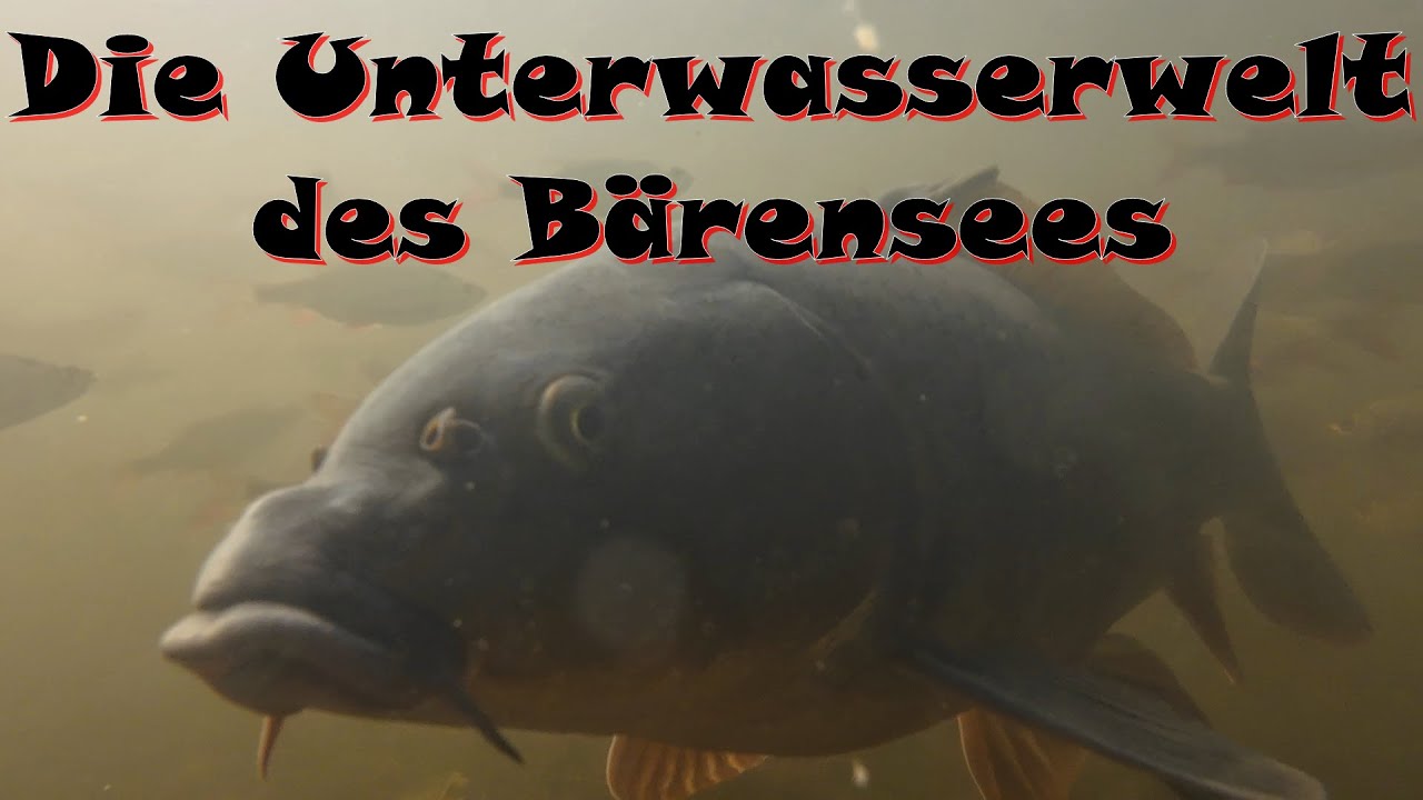 Fahrradtour zum Bärensee 2.0