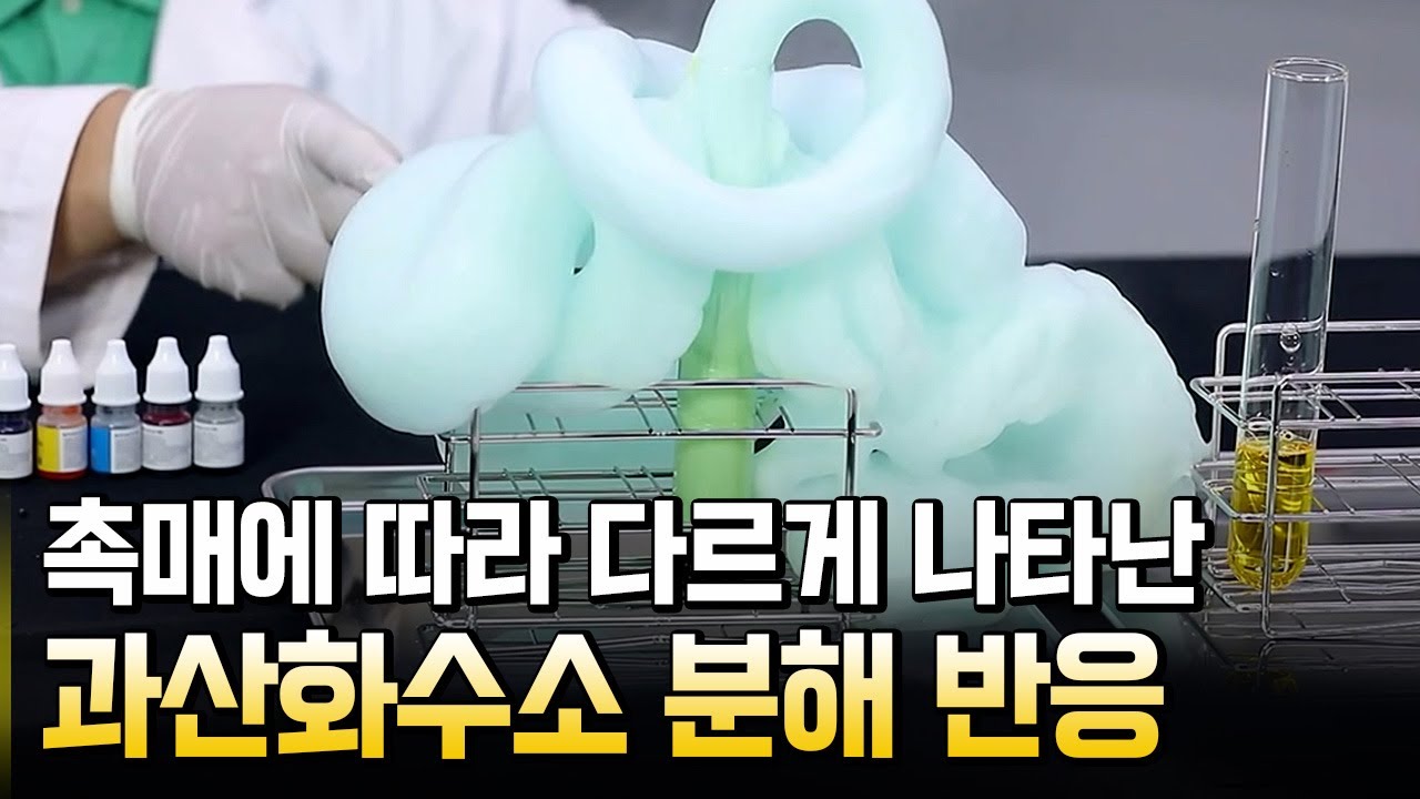촉매에 따른 반응속도 / 별별실험실