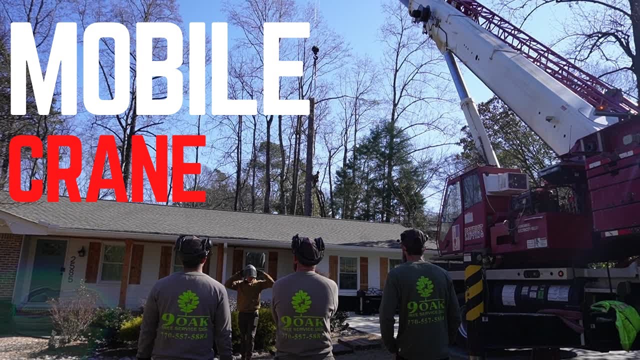 Crane Lifts HUGE Trees!