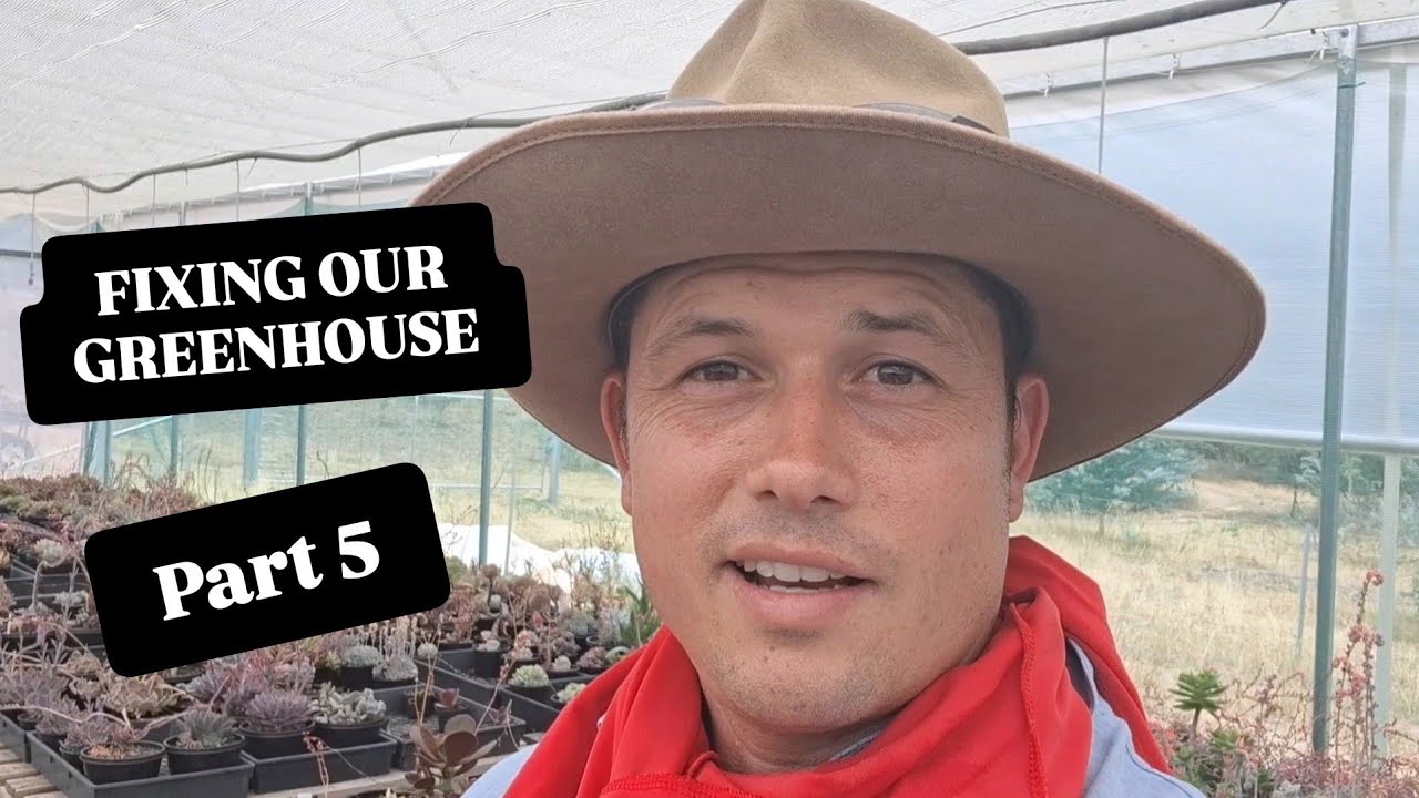 Fixing our greenhouse part 5