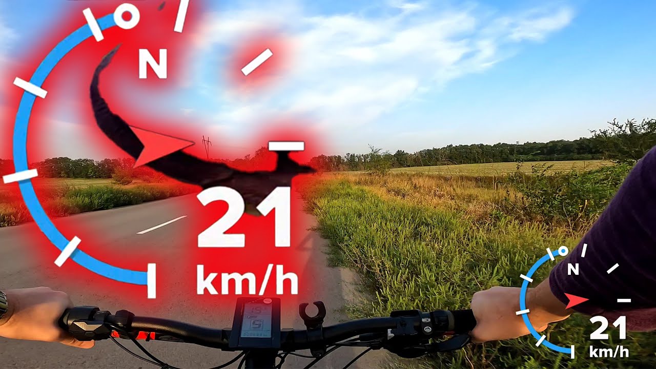Телеметрия GoPro. Как Добавить Скорость На Видео