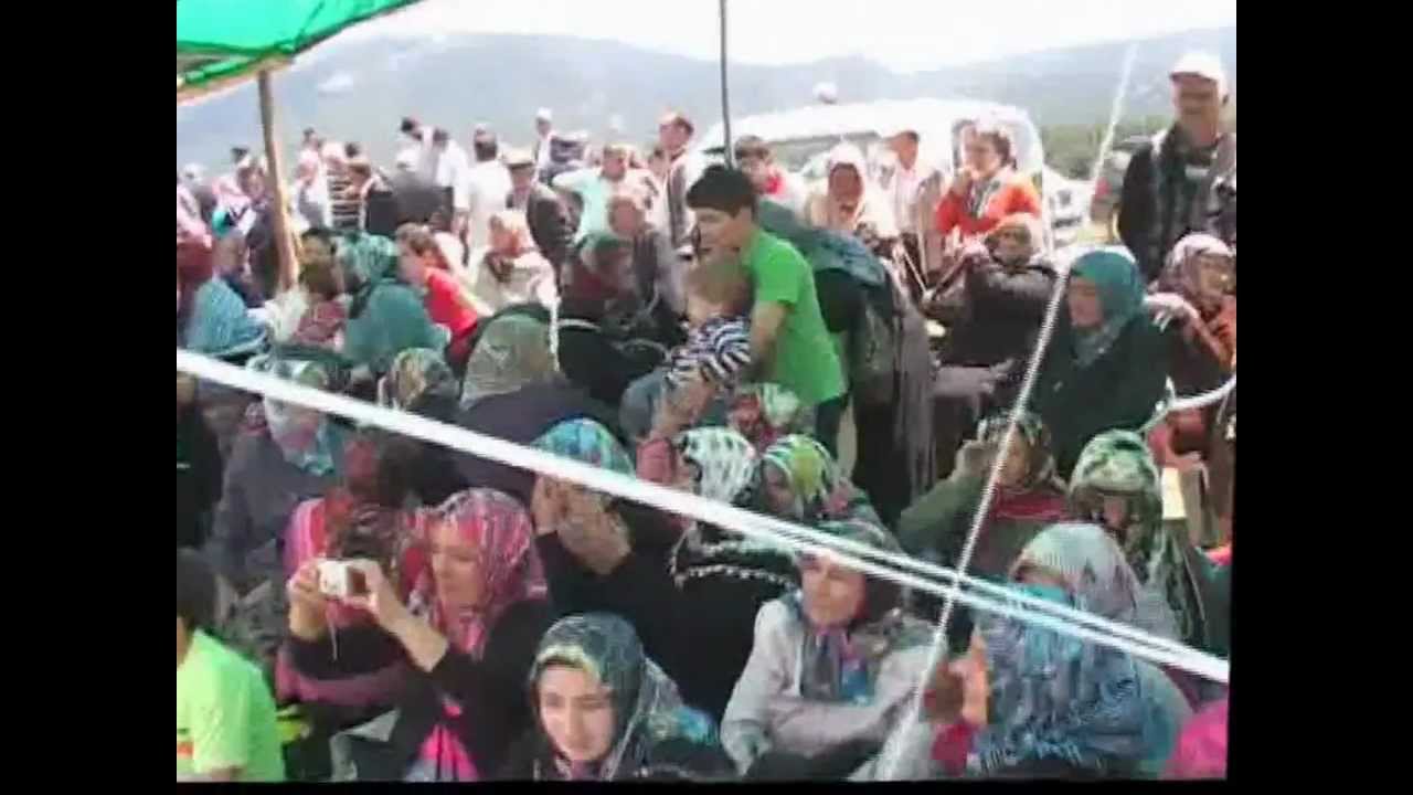 2010 yayla senligi 3