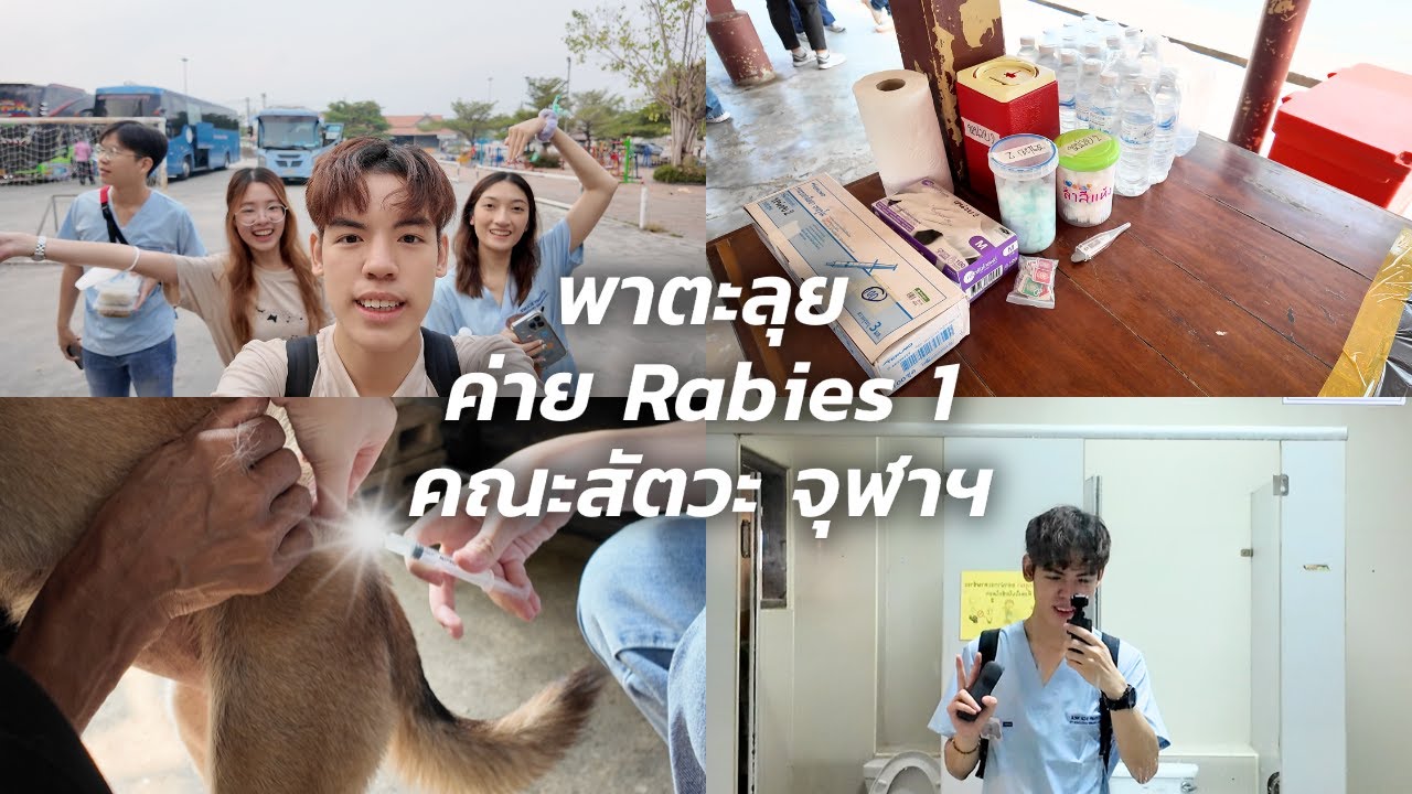 ตะลุยค่าย Rabies 1 คณะสัตวะ จุฬา, ฉีดวัคซีน , เดินทาง, พาดูหน่วยตรวจของค่าย! | VETVLOG 02