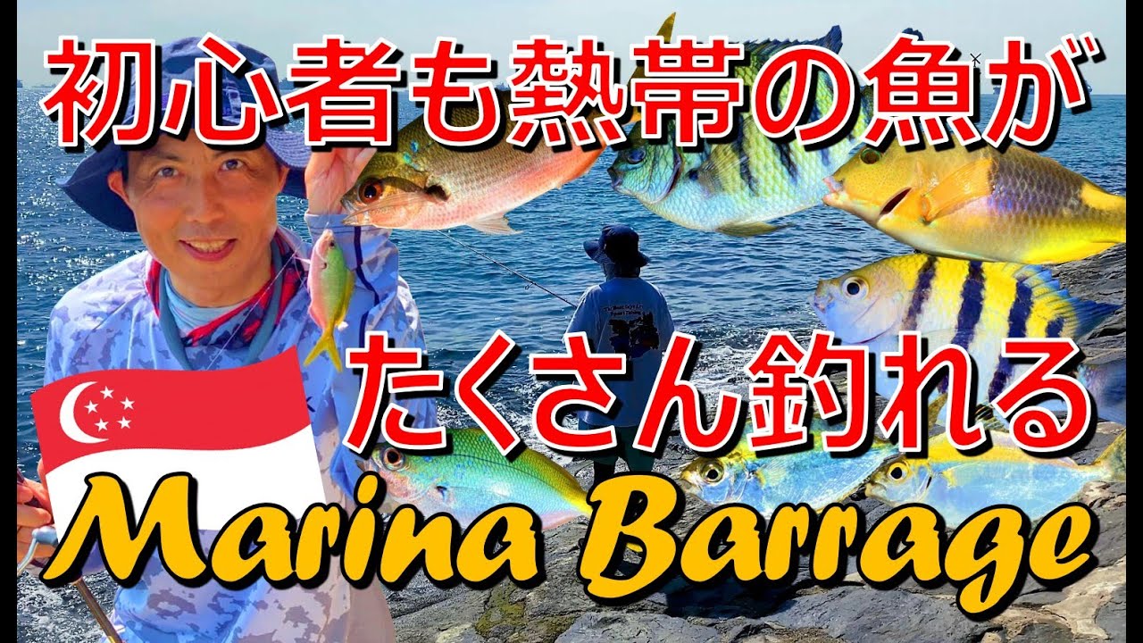 『Marina Barrage』Even beginners can catch plenty of tropical fish：初心者も熱帯の魚がたくさん釣れるお薦めなシンガポールの釣り場