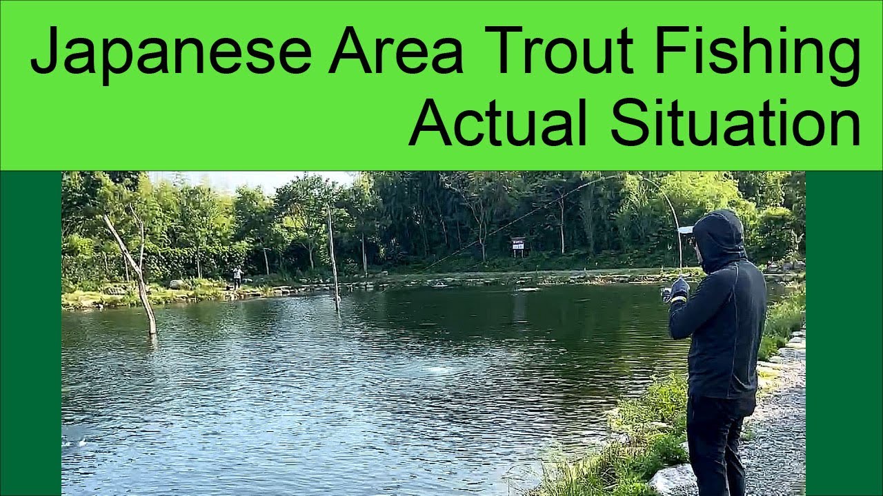 Area Trout Fishing in Japan, the Actual Situation