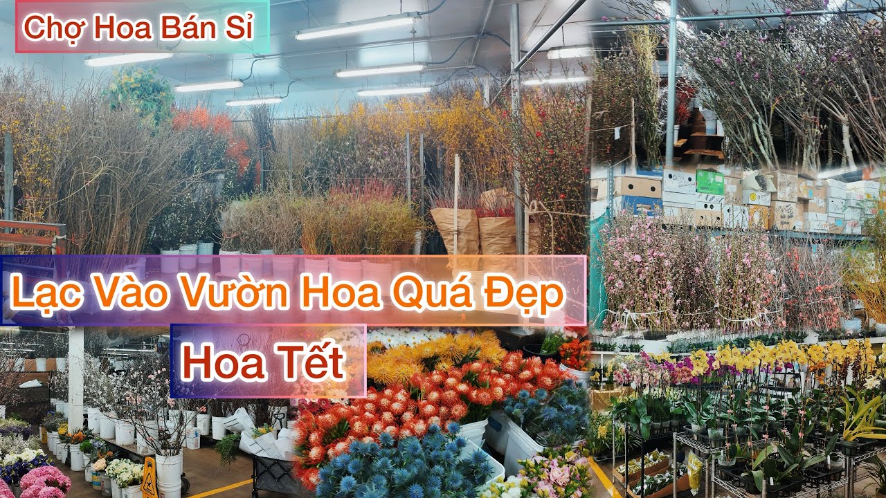 Lạc vào chợ hoa đầu mối ở Los Angeles.