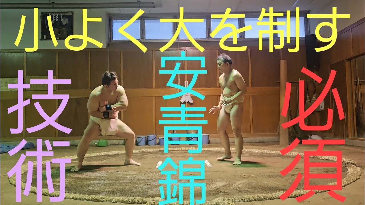 なぜ安青錦は崩れないのか｜おっつけで制する相撲技術【強い力士の作り方】