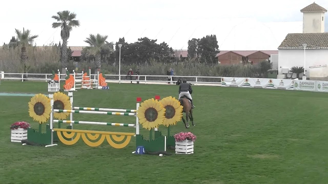MET 2016 - Robert Vos mit Carat - Longines Ranking Springen Gold Tour