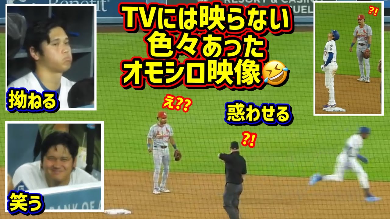 爆笑‼️こんな事がありました🤣拗ねる翔平 駆け抜ける青い影😱ヌートバーやったね！【現地映像】8/4vsカージナルスShoheiOhtani