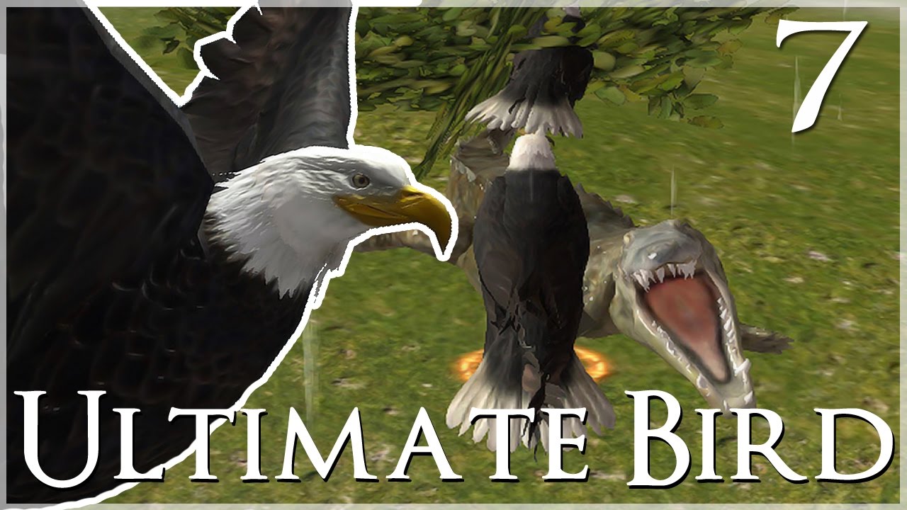 Лицом к лицу с пастью смерти!! 🐦 Ultimate Bird Simulator — Эпизод №7