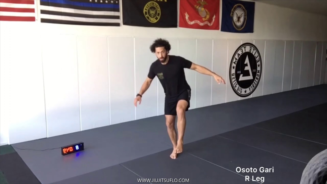 30 Minute Home HIIT  (Follow Along) Workout #2 - Jiu Jitsu FLO