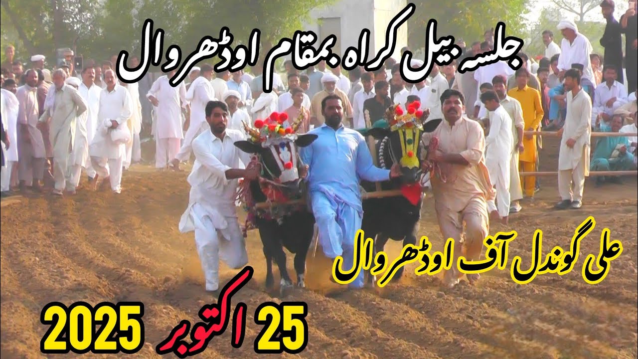 Jalsa bail karah Odherwal جلسہ بیل کراہ بمقام اوڈھروال 25اکتوبر 2025