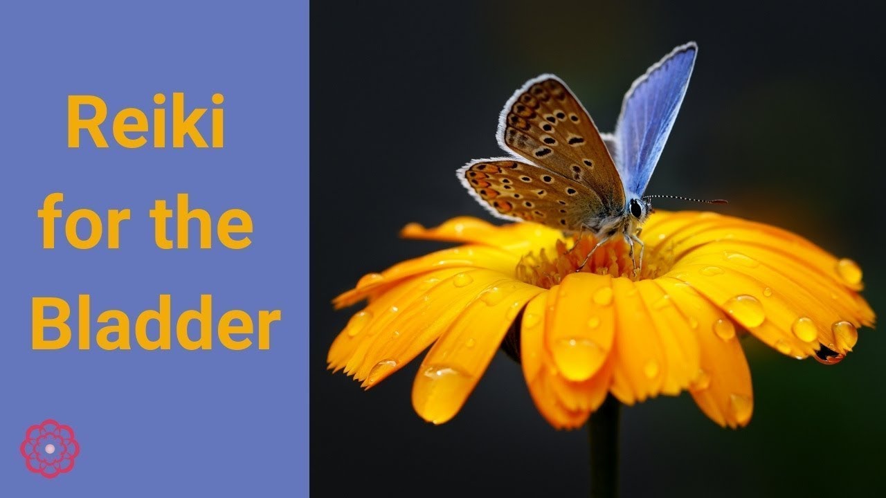 Reiki for the Bladder 💮