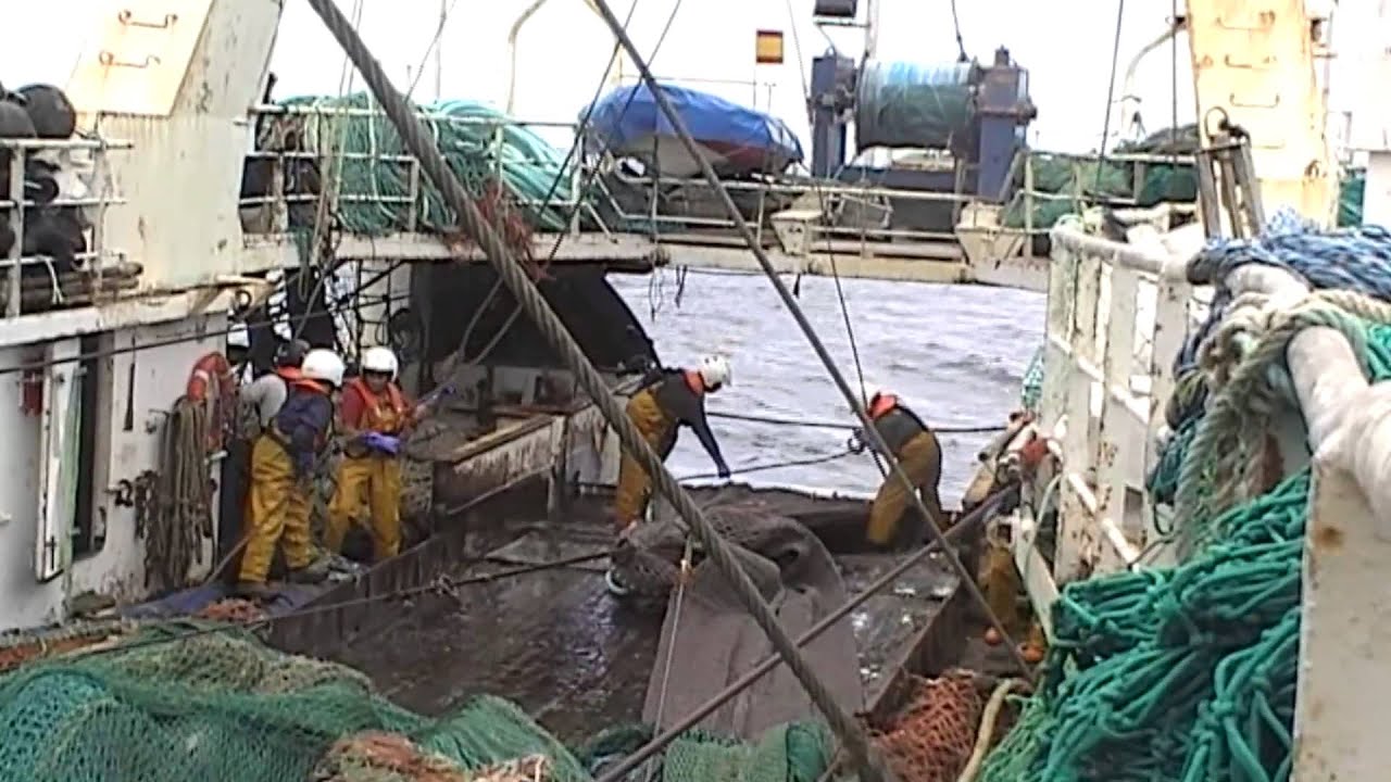 La Pesca del Bacalao en Terranova