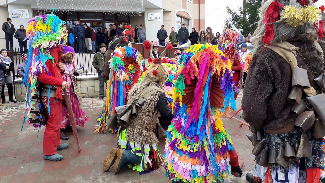 Capra Albele la Helegiu 2020