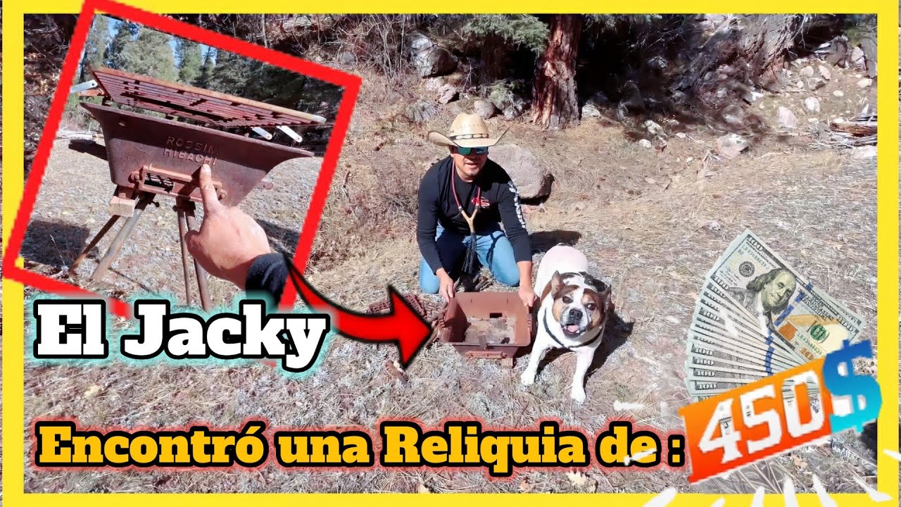 EL PERRO NOS ALERTÓ -valioso hallazgo #alextremo #aventuras #naturaleza 