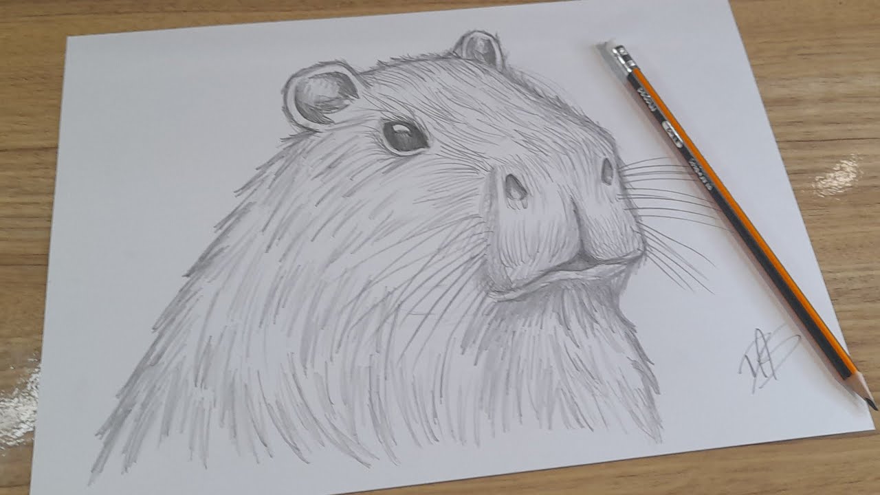 COMO DESENHAR UMA CAPIVARA