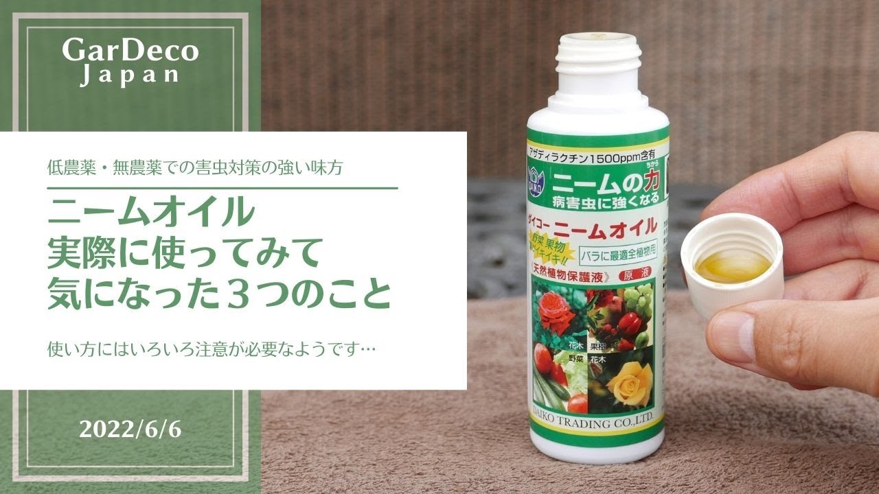 【害虫対策】ニームオイルを実際につかってみて気になった３つのこと【無農薬・低農薬栽培】