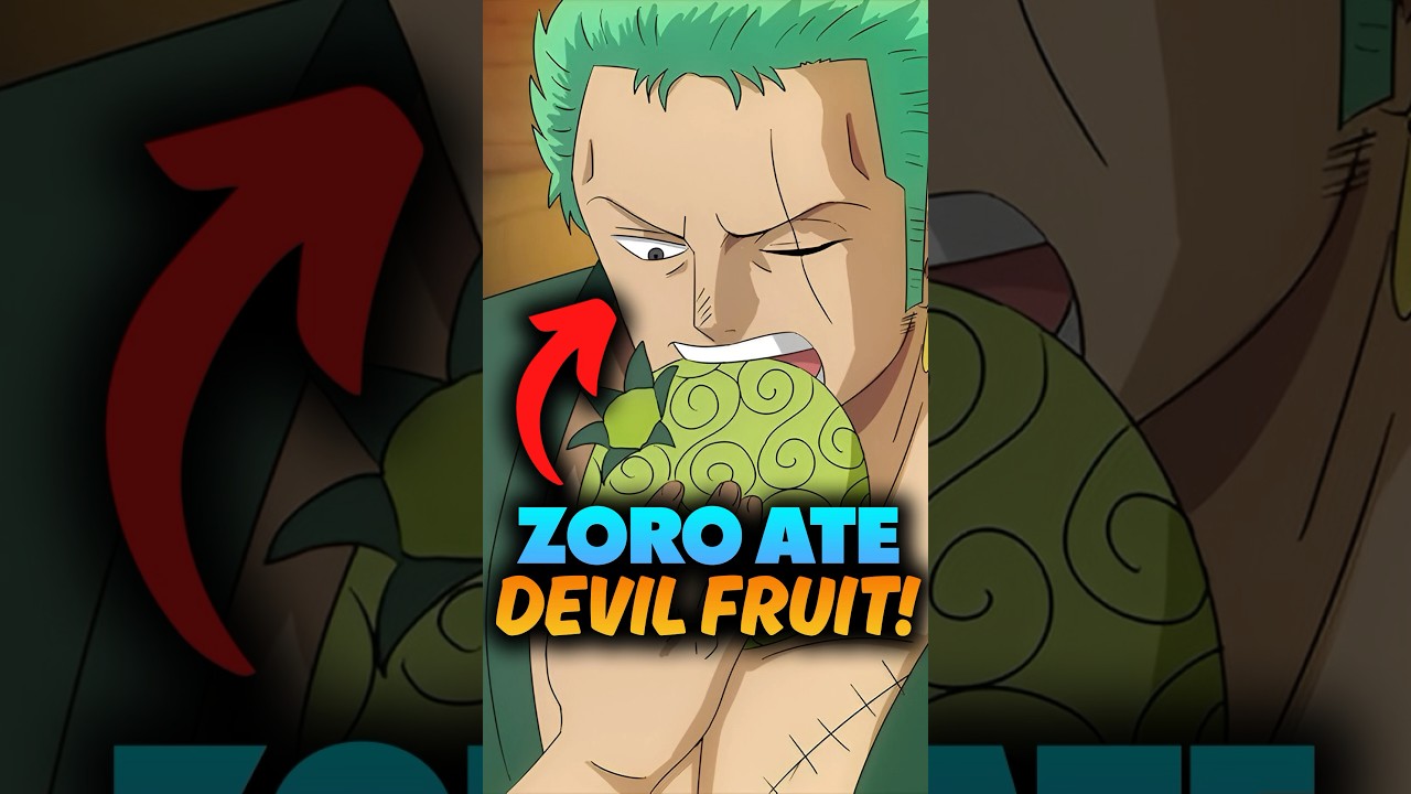 Top 3 Best Devil fruits for Zoro! One Piece Explained #onepiece #shorts